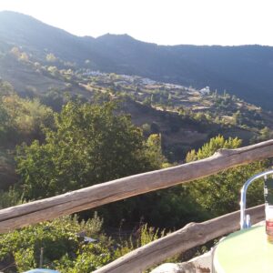 view from terrace