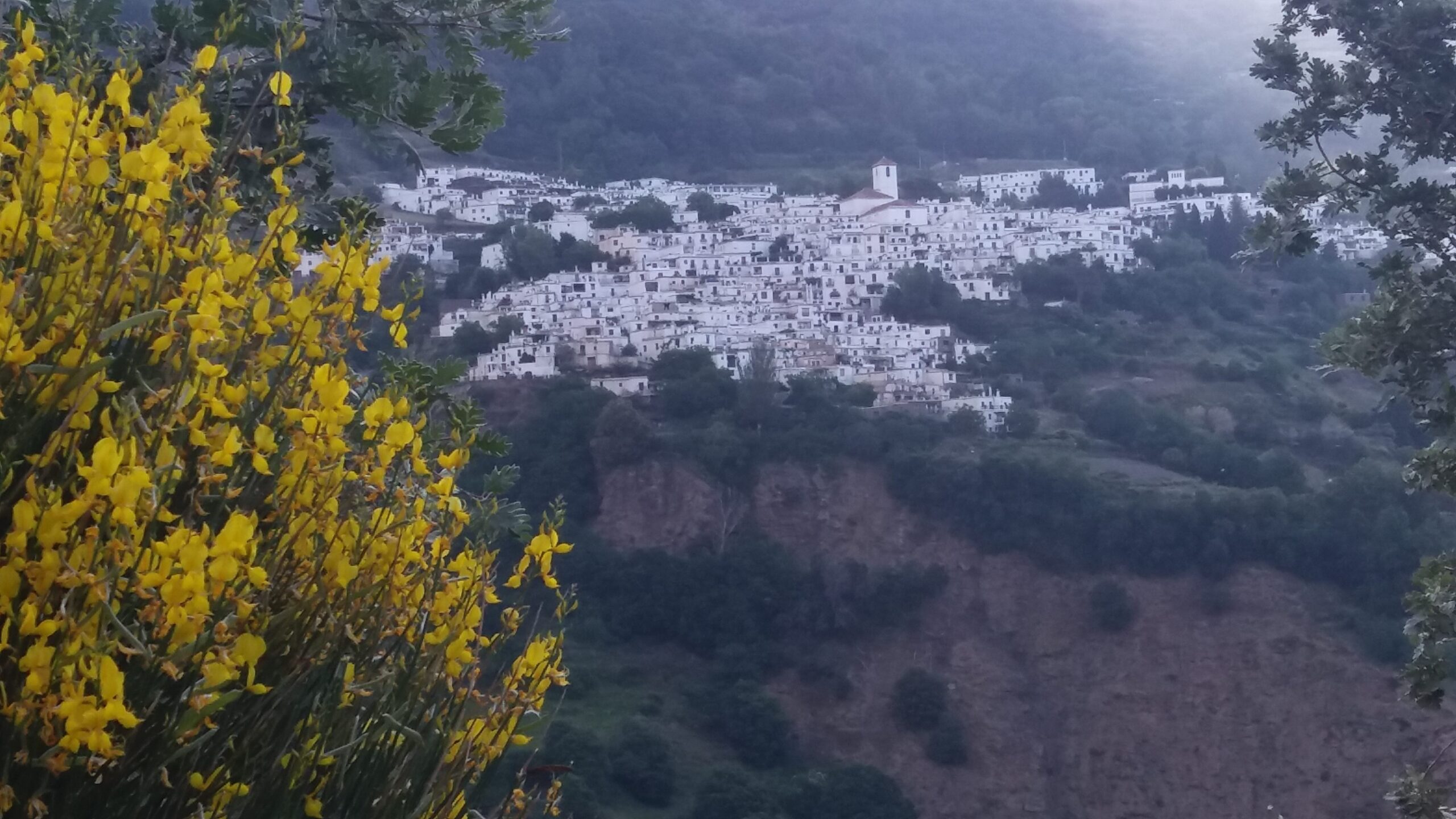 Capileira and devils cliffs