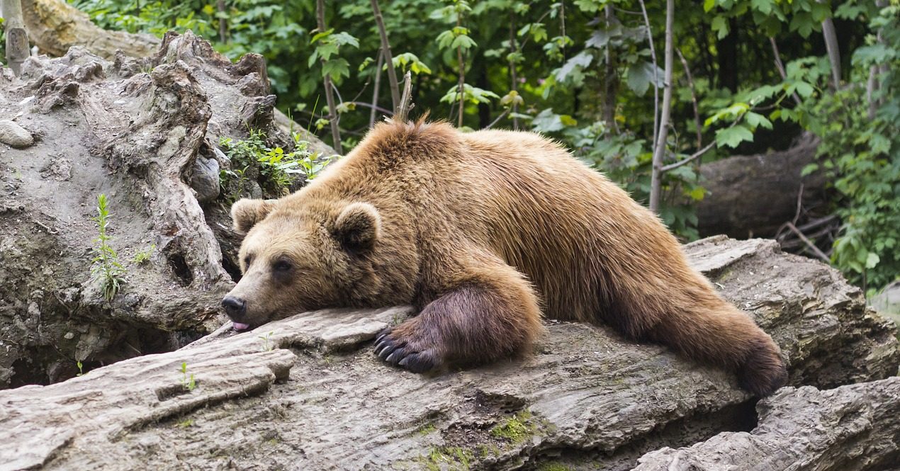 mastering pacing so that you dont run out of energy with ME/CFS, Fibromyalgia or Lyme Disease