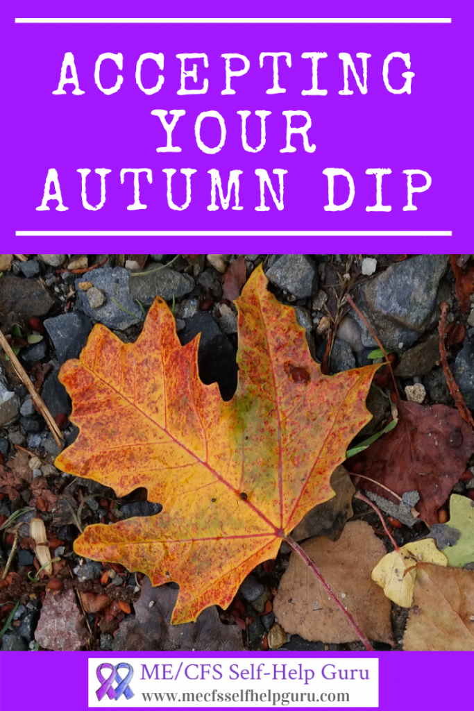 Following natures example to accept a seasonal dip in energy