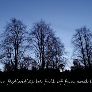 May your festivities be full of fun and laughter