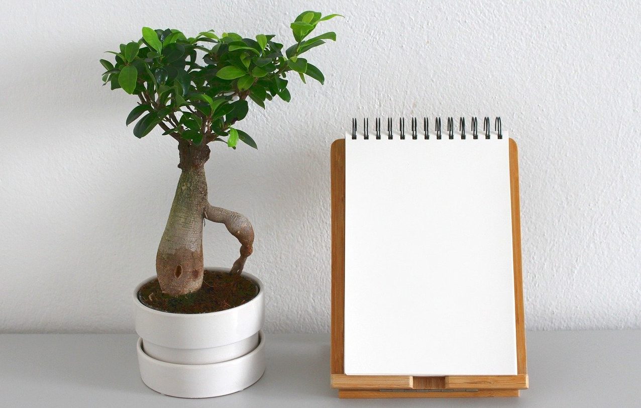Finding focus with a list