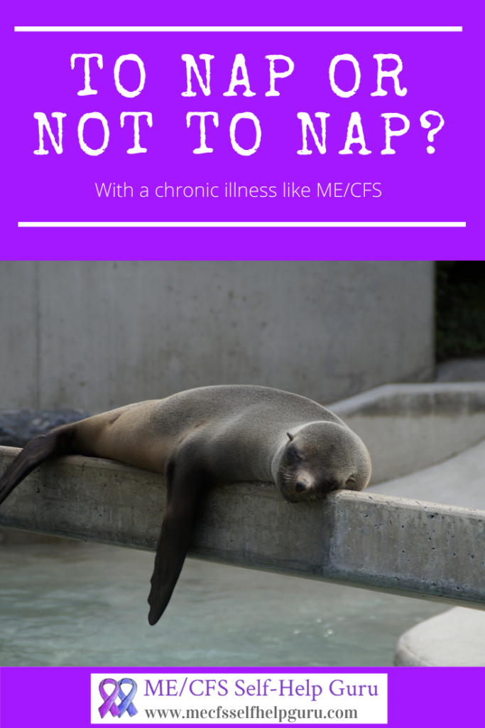 pin for to nap or not to nap
