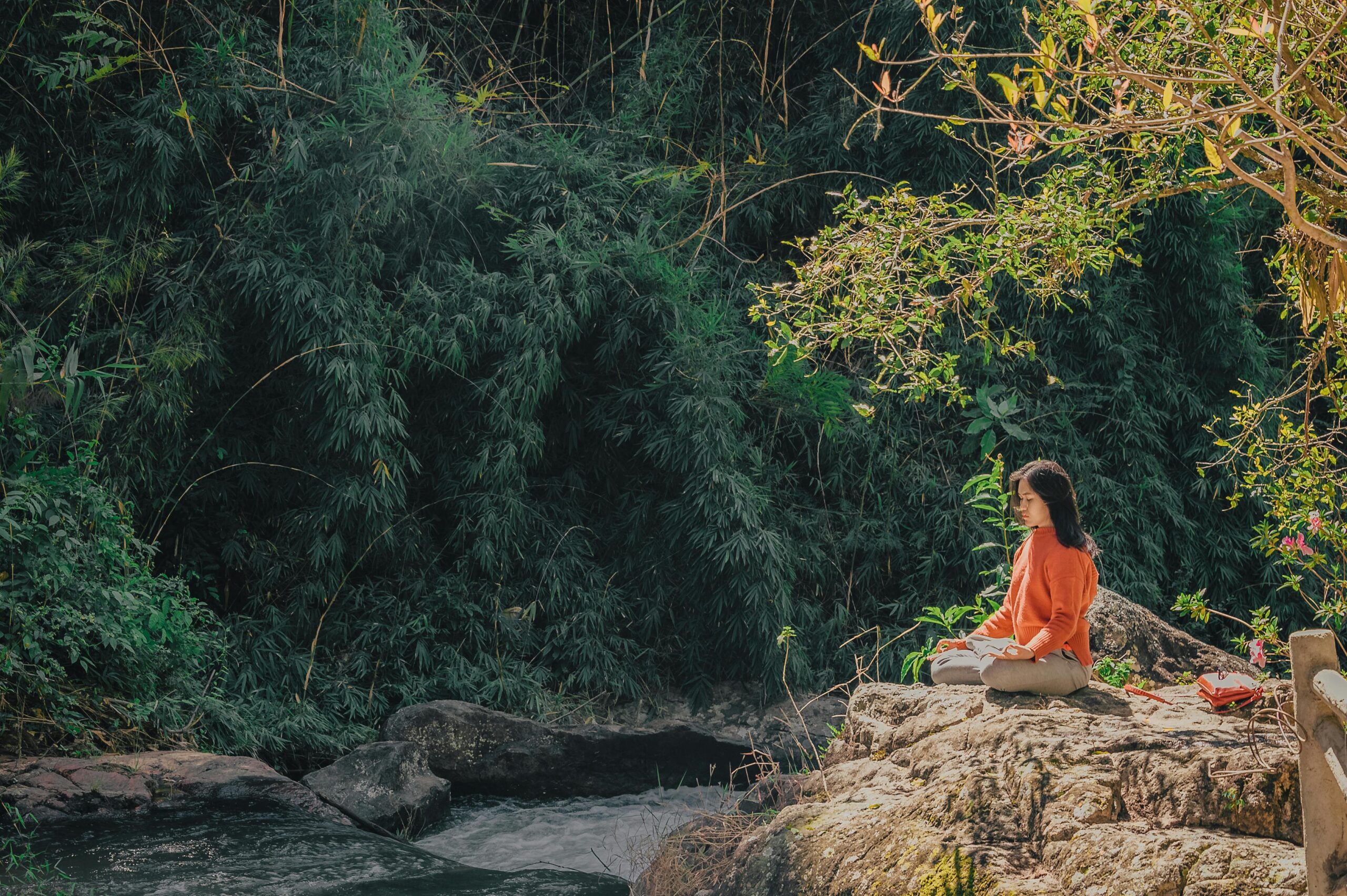 Photo by Min An: https://www.pexels.com/photo/woman-sitting-on-brown-stone-near-green-leaf-trees-at-daytime-1234035/