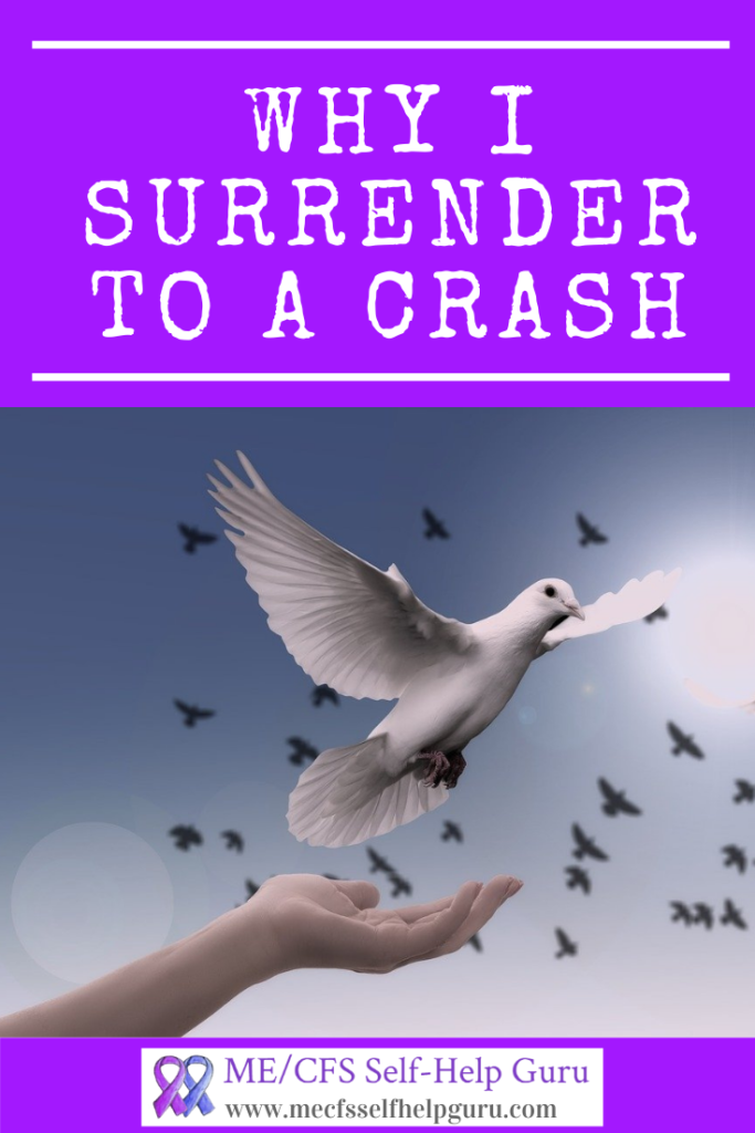 Pin for surrender showing a white dove