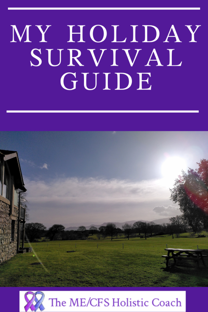 holiday survival guide pin