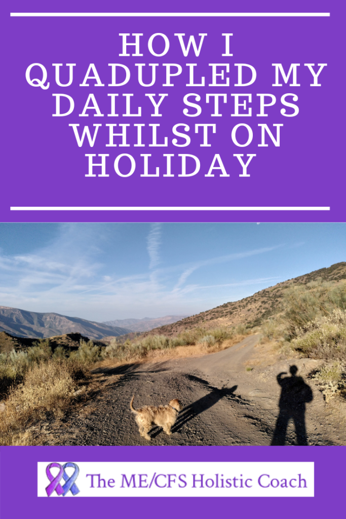 Pinterest sized image with a picture of a dog and a shadow in from of a mountain view and the text how I quadrupled my daily steps on holiday